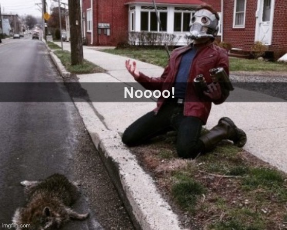 POV: starlord in vol 1 of Secret wars | Noooo! | image tagged in starlord nooo why | made w/ Imgflip meme maker