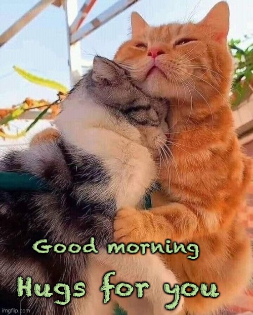 Good morning; Hugs for you | made w/ Imgflip meme maker