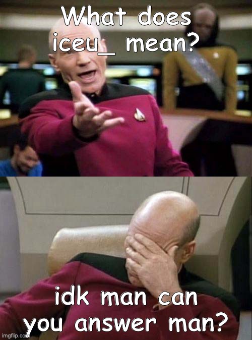 Pls bro | What does iceu_ mean? idk man can you answer man? | image tagged in picard wtf and facepalm combined | made w/ Imgflip meme maker