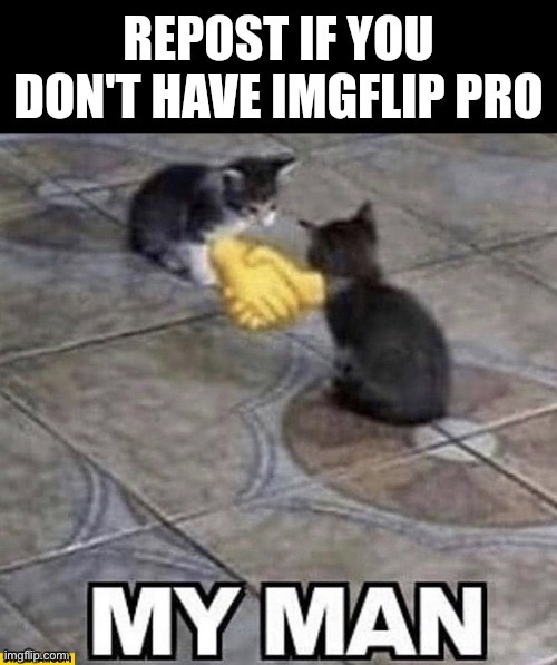 Honestly, it’s a waste of money | made w/ Imgflip meme maker