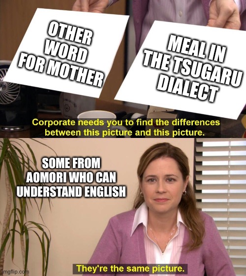 They are practically the same in spelling and pronunciation | OTHER WORD FOR MOTHER; MEAL IN THE TSUGARU DIALECT; SOME FROM AOMORI WHO CAN UNDERSTAND ENGLISH | image tagged in they are the same picture | made w/ Imgflip meme maker