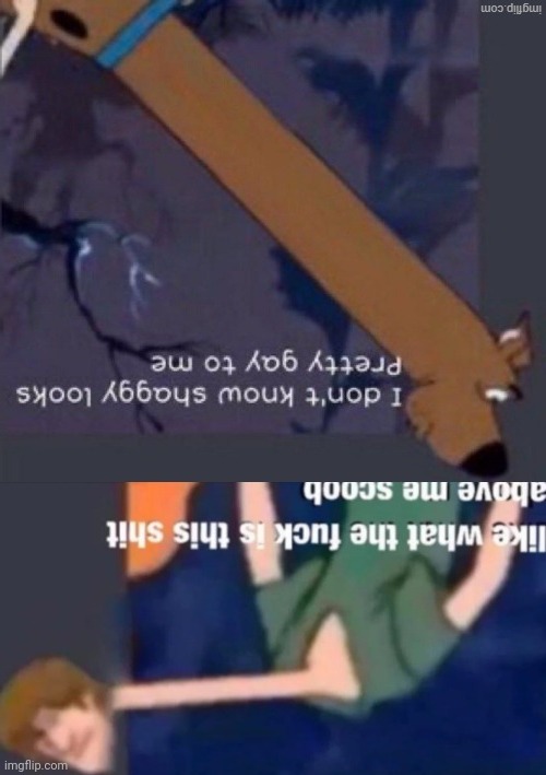 I don't know, seems pretty legit to me | image tagged in i don't know seems pretty legit to me | made w/ Imgflip meme maker