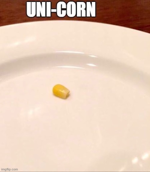 image tagged in puns | made w/ Imgflip meme maker