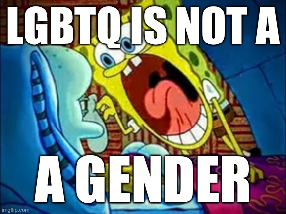 spongebob yelling | LGBTQ IS NOT A; A GENDER | image tagged in spongebob yelling | made w/ Imgflip meme maker