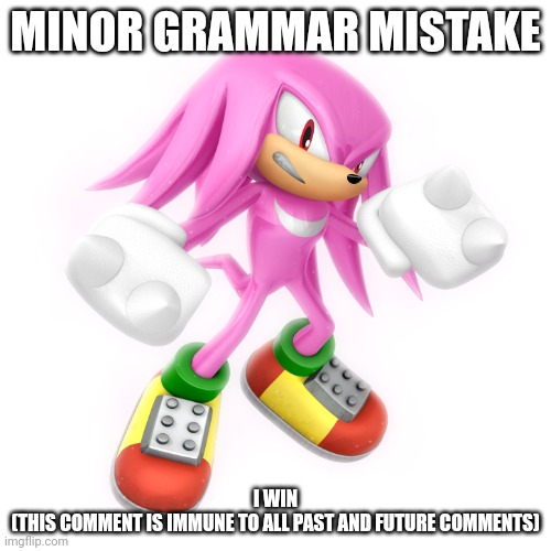 Super Knuckles | MINOR GRAMMAR MISTAKE I WIN
(THIS COMMENT IS IMMUNE TO ALL PAST AND FUTURE COMMENTS) | image tagged in super knuckles | made w/ Imgflip meme maker