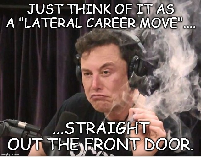 Elon Musk smoking a joint | JUST THINK OF IT AS A "LATERAL CAREER MOVE".... ...STRAIGHT OUT THE FRONT DOOR. | image tagged in elon musk smoking a joint | made w/ Imgflip meme maker