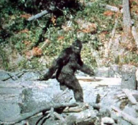 BIGFOOT | image tagged in bigfoot | made w/ Imgflip meme maker