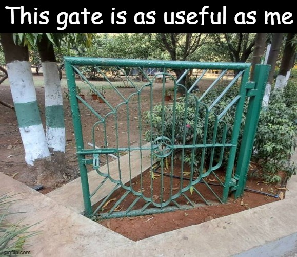 Ah, humor based on my pain | This gate is as useful as me | image tagged in funny,memes,gate,ooh self-burn those are rare,humor based on my pain | made w/ Imgflip meme maker