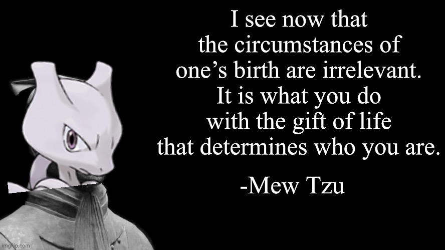 From The Art of Catching Them All | I see now that the circumstances of one’s birth are irrelevant. It is what you do with the gift of life that determines who you are. -Mew Tzu | image tagged in sun tzu,pokemon,deep thoughts,mewtwo | made w/ Imgflip meme maker