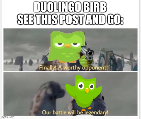 Finally! A worthy opponent! | DUOLINGO BIRB SEE THIS POST AND GO: | image tagged in finally a worthy opponent | made w/ Imgflip meme maker