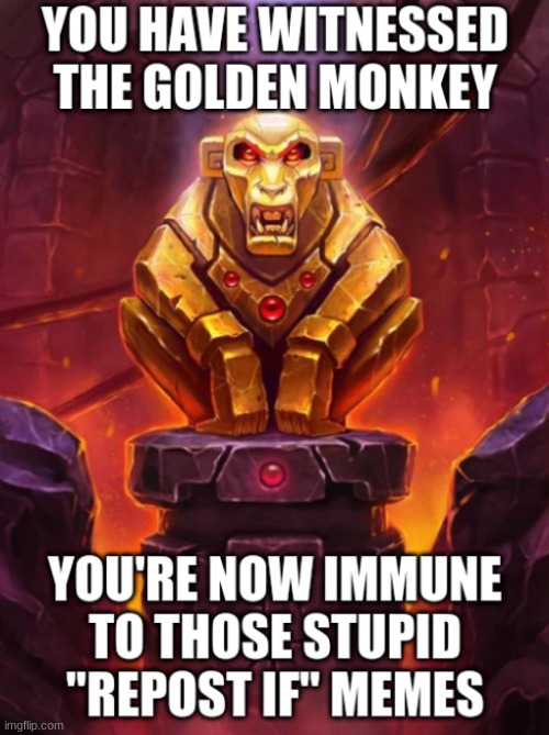 fuck you image below | image tagged in witness the golden monkey's power | made w/ Imgflip meme maker