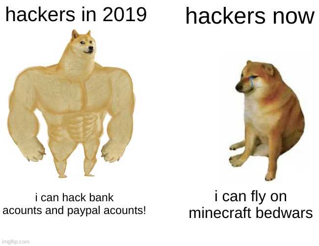 Buff Doge vs. Cheems Meme | hackers in 2019; hackers now; i can hack bank acounts and paypal acounts! i can fly on minecraft bedwars | image tagged in memes,buff doge vs cheems | made w/ Imgflip meme maker