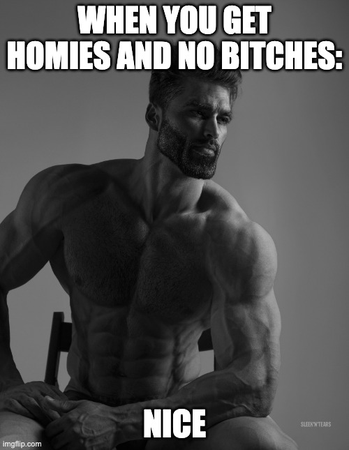 Giga Chad Doesn't Worry About Bitches... | WHEN YOU GET HOMIES AND NO BITCHES:; NICE | image tagged in giga chad | made w/ Imgflip meme maker