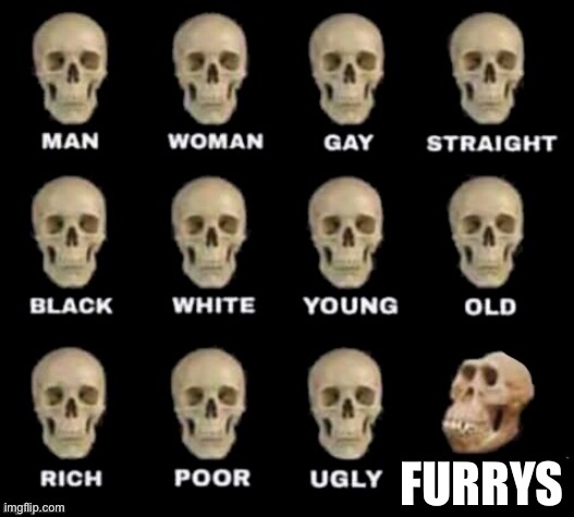 Furries* | FURRYS | image tagged in idiot skull | made w/ Imgflip meme maker