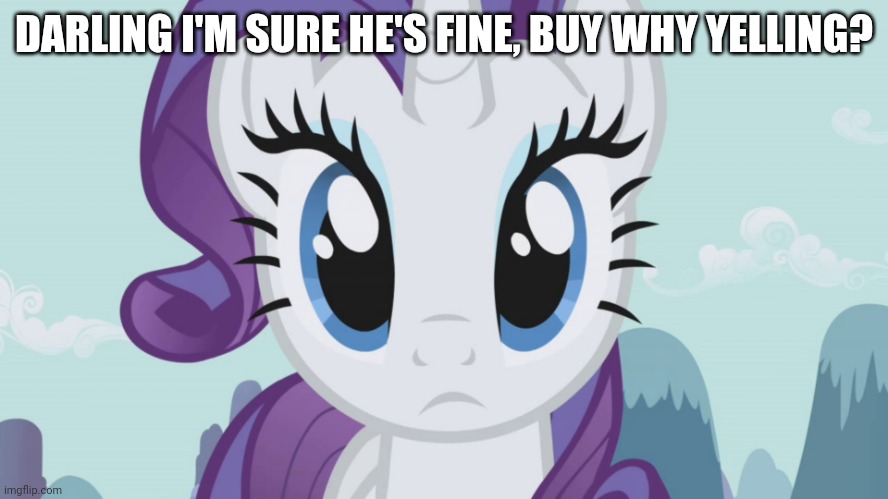 Stareful Rarity (MLP) | DARLING I'M SURE HE'S FINE, BUY WHY YELLING? | image tagged in stareful rarity mlp | made w/ Imgflip meme maker