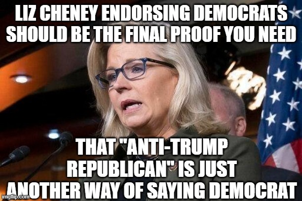 Liz Cheney | LIZ CHENEY ENDORSING DEMOCRATS SHOULD BE THE FINAL PROOF YOU NEED; THAT "ANTI-TRUMP REPUBLICAN" IS JUST ANOTHER WAY OF SAYING DEMOCRAT | image tagged in liz cheney | made w/ Imgflip meme maker