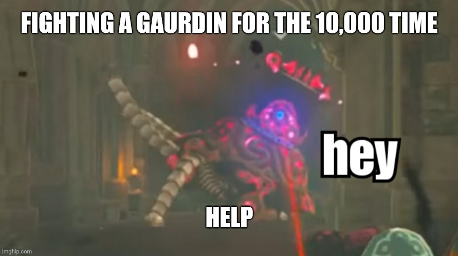 Pain | FIGHTING A GAURDIN FOR THE 10,000 TIME; HELP | image tagged in guardian hey | made w/ Imgflip meme maker