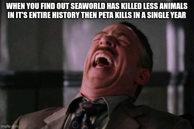 I find it so stupid that PETA thinks that SeaWorld is worse then them even though they kill healthy animals lol | WHEN YOU FIND OUT SEAWORLD HAS KILLED LESS ANIMALS IN IT'S ENTIRE HISTORY THEN PETA KILLS IN A SINGLE YEAR | image tagged in spider man boss,peta,seaworld,get a load of this guy | made w/ Imgflip meme maker