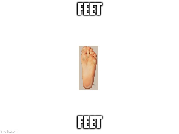 FEET; FEET | image tagged in feet | made w/ Imgflip meme maker