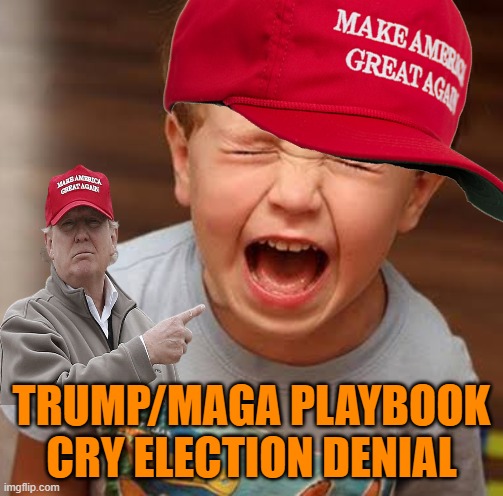 Tantrum | TRUMP/MAGA PLAYBOOK
CRY ELECTION DENIAL | image tagged in tantrum | made w/ Imgflip meme maker