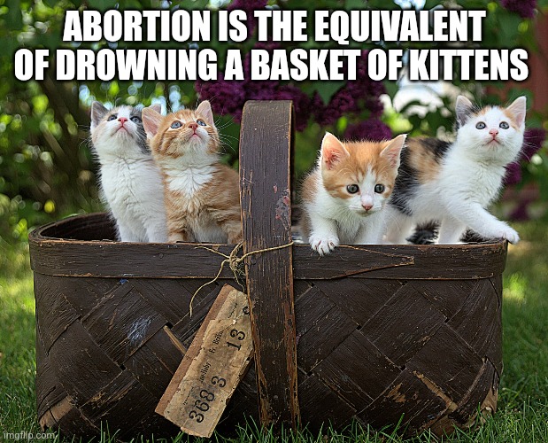 ABORTION IS THE EQUIVALENT OF DROWNING A BASKET OF KITTENS | image tagged in funny memes | made w/ Imgflip meme maker