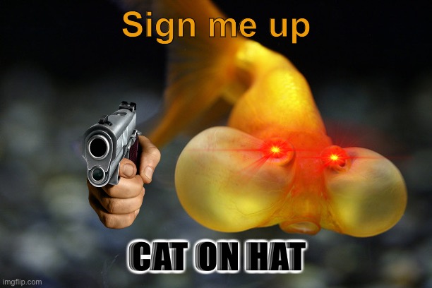 hold your breath goldfish | Sign me up; CAT ON HAT | image tagged in hold your breath goldfish,cat in the hat with a bat ______ colorized,stop upvote begging,guns,fish,cat in the hat | made w/ Imgflip meme maker