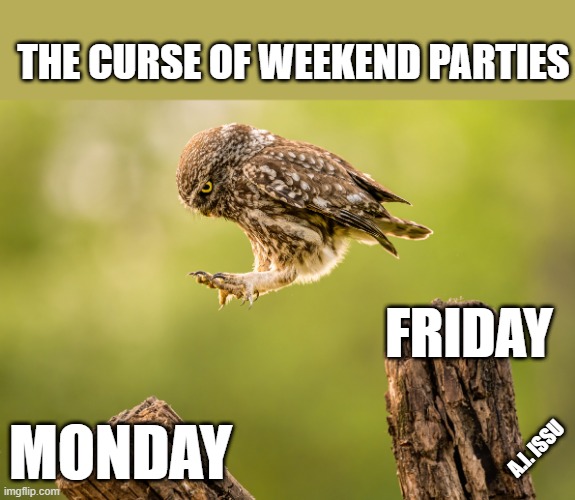 weekend parties | THE CURSE OF WEEKEND PARTIES; FRIDAY; MONDAY; A.I. ISSU | image tagged in parties,curse | made w/ Imgflip meme maker