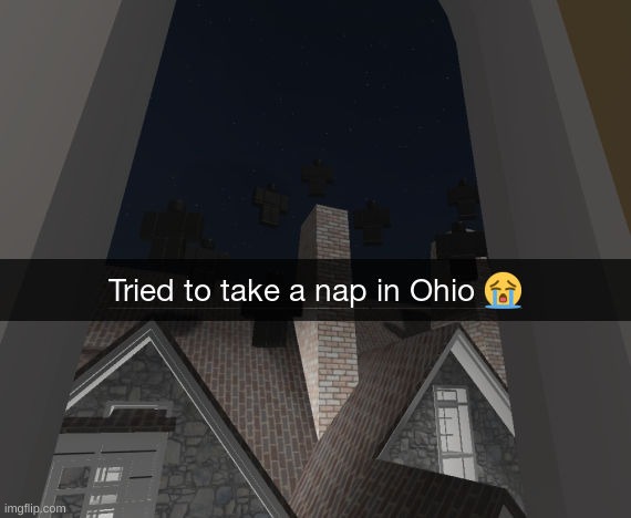 C'mon, Ohio isn't that bad | image tagged in ohio,utah,florida man,roblox,memes | made w/ Imgflip meme maker