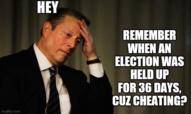 Yeah, No? Me Either. | HEY; REMEMBER WHEN AN ELECTION WAS HELD UP FOR 36 DAYS, CUZ CHEATING? | image tagged in al gore facepalm,election,deniers,original,gangsta,hillary clinton | made w/ Imgflip meme maker