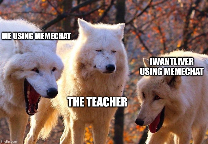 memechatting in class | ME USING MEMECHAT; IWANTLIVER USING MEMECHAT; THE TEACHER | image tagged in 2/3 wolves laugh | made w/ Imgflip meme maker