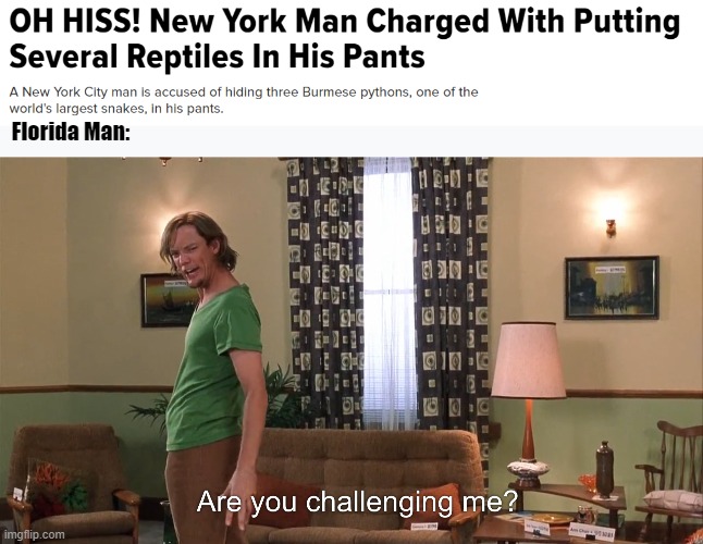 Florida Man: | image tagged in are you challenging me shaggy | made w/ Imgflip meme maker