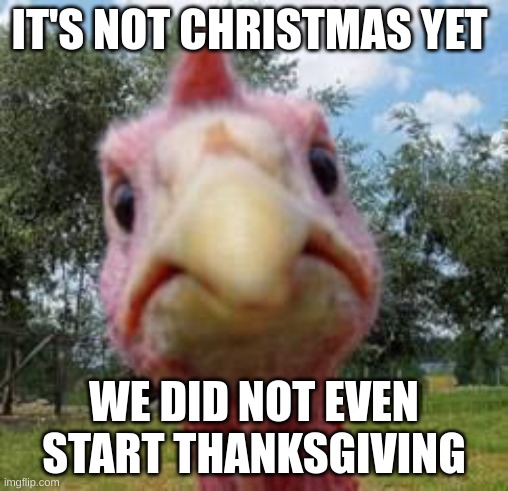 turkey | IT'S NOT CHRISTMAS YET; WE DID NOT EVEN START THANKSGIVING | image tagged in turkey,christmas,thank you,thanksgiving | made w/ Imgflip meme maker