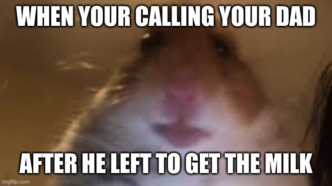 fatha | WHEN YOUR CALLING YOUR DAD; AFTER HE LEFT TO GET THE MILK | image tagged in facetime hamster | made w/ Imgflip meme maker