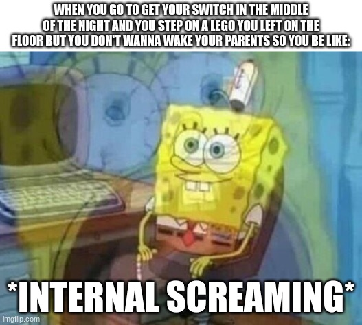 Internal screaming |  WHEN YOU GO TO GET YOUR SWITCH IN THE MIDDLE OF THE NIGHT AND YOU STEP ON A LEGO YOU LEFT ON THE FLOOR BUT YOU DON'T WANNA WAKE YOUR PARENTS SO YOU BE LIKE:; *INTERNAL SCREAMING* | image tagged in internal screaming,stepping on a lego,nintendo switch | made w/ Imgflip meme maker