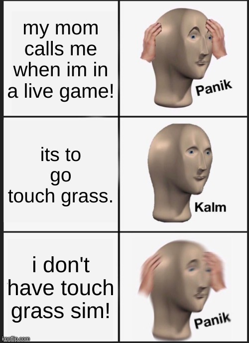 this is true for any gamer | my mom calls me when im in a live game! its to go touch grass. i don't have touch grass sim! | image tagged in memes,panik kalm panik | made w/ Imgflip meme maker