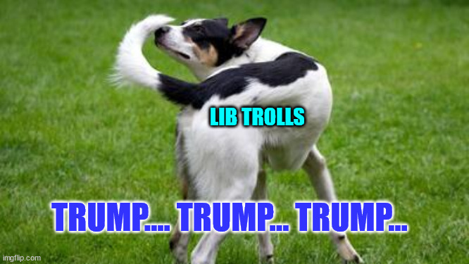One track minds... | LIB TROLLS; TRUMP.... TRUMP... TRUMP... | image tagged in butthurt liberals | made w/ Imgflip meme maker