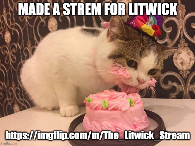 cat cake | MADE A STREM FOR LITWICK; https://imgflip.com/m/The_Litwick_Stream | image tagged in cat cake | made w/ Imgflip meme maker