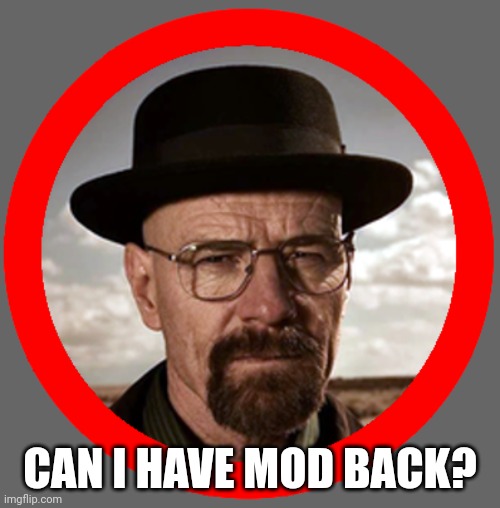 walter found | CAN I HAVE MOD BACK? | image tagged in walter found | made w/ Imgflip meme maker