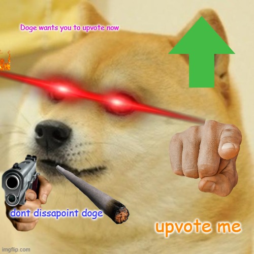 Doge | Doge wants you to upvote now; dont dissapoint doge; upvote me | image tagged in memes,doge | made w/ Imgflip meme maker