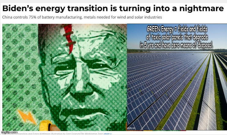 Going GREEN? LOL. You'll be learned real soon. | image tagged in memes,politics | made w/ Imgflip meme maker