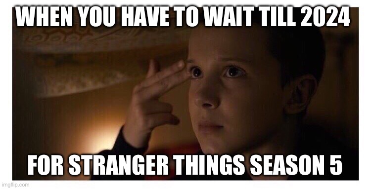 Stranger Things 2 | WHEN YOU HAVE TO WAIT TILL 2024; FOR STRANGER THINGS SEASON 5 | image tagged in stranger things 2 | made w/ Imgflip meme maker