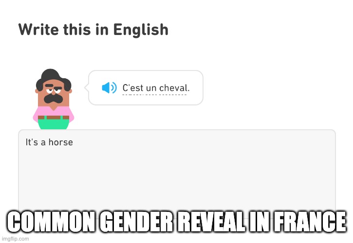 Common gender reveal in France | COMMON GENDER REVEAL IN FRANCE | image tagged in gender reveal,france | made w/ Imgflip meme maker