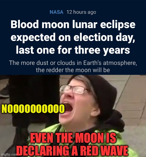 Screaming Lady | NOOOOOOOOOO; EVEN THE MOON IS DECLARING A RED WAVE | image tagged in screaming liberal,memes,elections,that would be great,your country needs you,breaking news | made w/ Imgflip meme maker