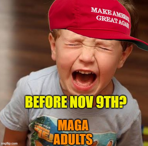 Tantrum | BEFORE NOV 9TH? MAGA ADULTS | image tagged in tantrum | made w/ Imgflip meme maker