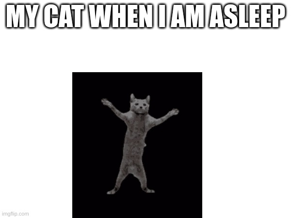 me | MY CAT WHEN I AM ASLEEP | image tagged in video games | made w/ Imgflip meme maker