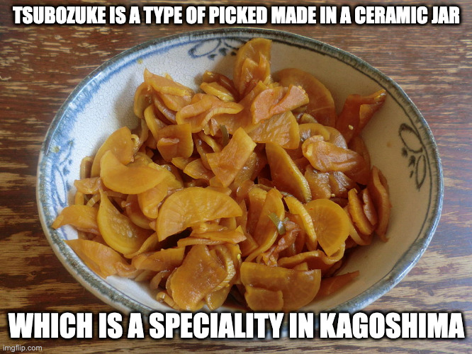 Tsubozuke | TSUBOZUKE IS A TYPE OF PICKED MADE IN A CERAMIC JAR; WHICH IS A SPECIALITY IN KAGOSHIMA | image tagged in food,pickle,memes | made w/ Imgflip meme maker