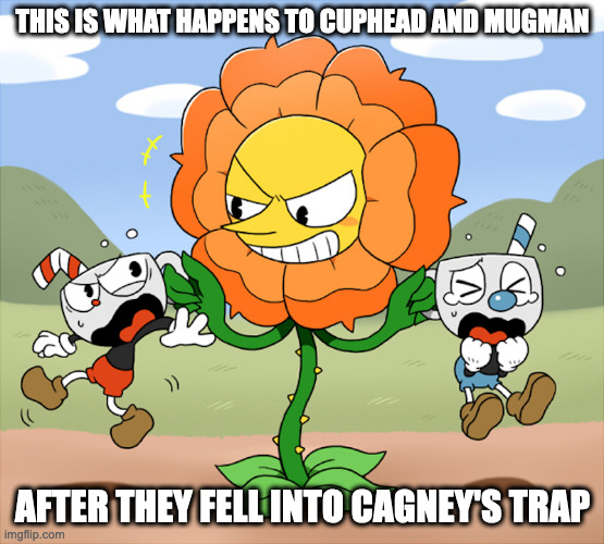 Cagney Catching Cuphead and Mugman | THIS IS WHAT HAPPENS TO CUPHEAD AND MUGMAN; AFTER THEY FELL INTO CAGNEY'S TRAP | image tagged in cuphead,mugman,cagney carnation,memes | made w/ Imgflip meme maker