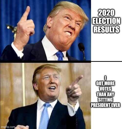 More stable 'jenuis' logic | 2020 ELECTION RESULTS; I GOT MORE VOTES THAN ANY SITTING PRESIDENT EVER | image tagged in donald trump drake | made w/ Imgflip meme maker