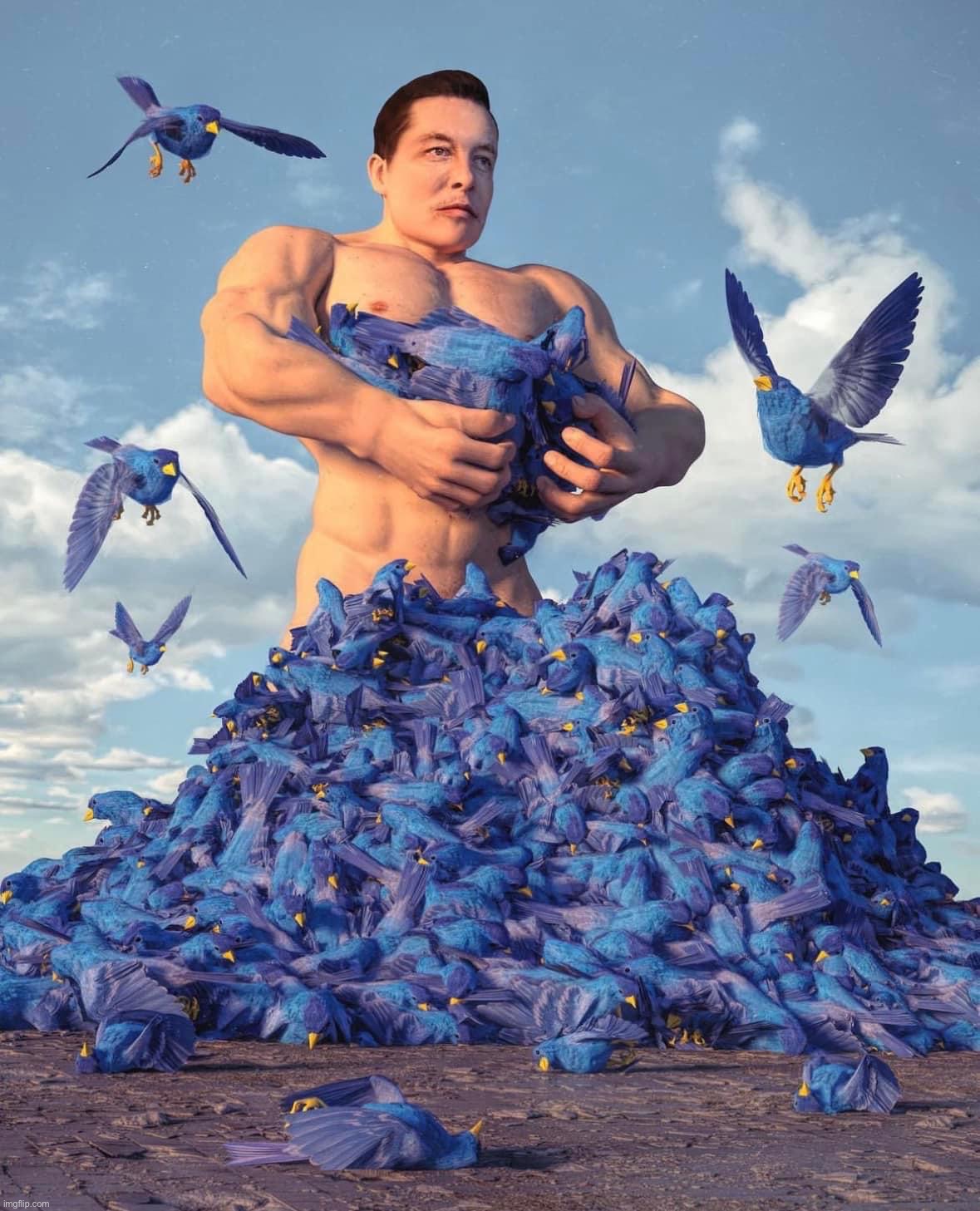 based chad collecting liberal tears, maga | image tagged in ripped elon musk twitter birds,b,a,s,e,d | made w/ Imgflip meme maker