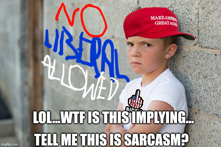 LOL...WTF IS THIS IMPLYING... TELL ME THIS IS SARCASM? | made w/ Imgflip meme maker